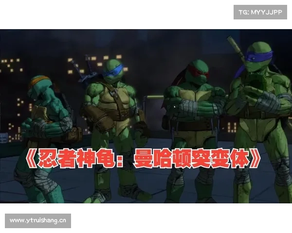 《忍者神龟:卡哇邦卡大合集 重温经典街机与主机传奇》 《忍者神龟:卡哇邦卡大合集 重温经典街机与主机传奇》